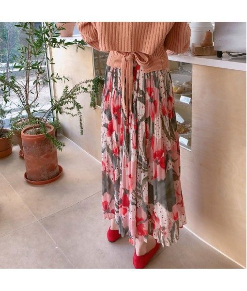 Cross border source South Korea early spring gentle romantic tulip Print Chiffon Skirt pleated design long skirt